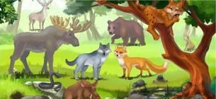 imparare in russo animali del bosco